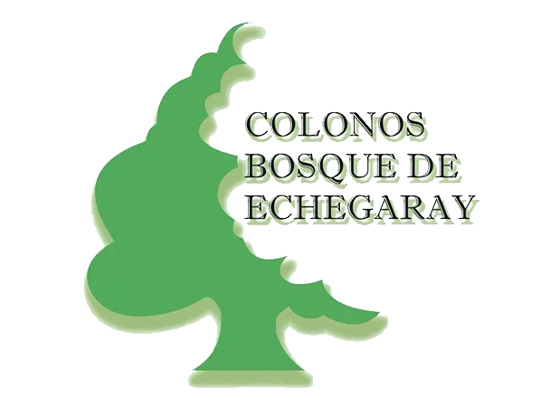 Colaborador 3
